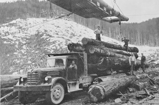 Foto Beladen eines Holztransporters