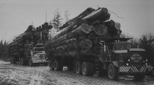 Foto Holztransport
