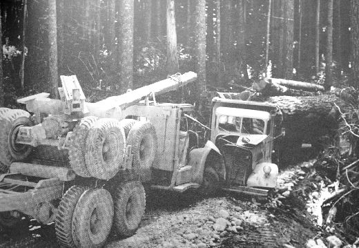Foto Holztransport, Unfall mit LKW