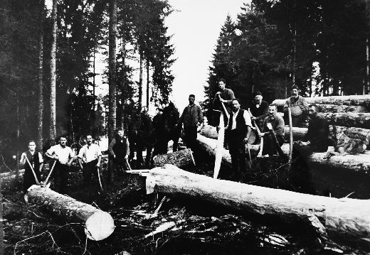 Foto Holzergruppe