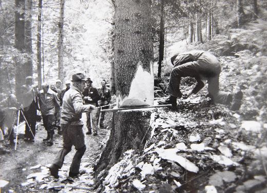 Foto Handholzerkurs