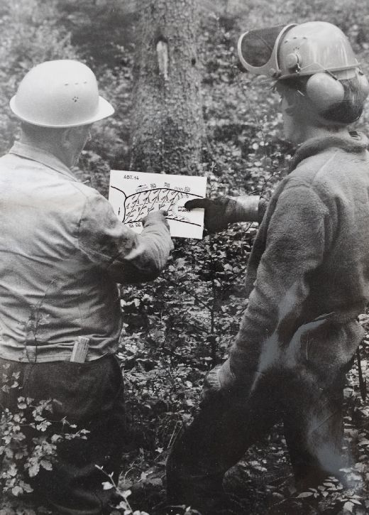 Foto Schlagorganisation