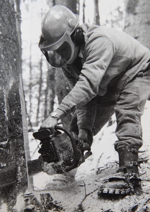 Foto Anschroten mit Motorsäge