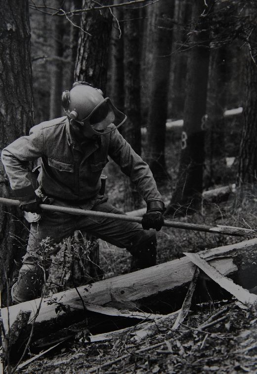 Foto Entrinden