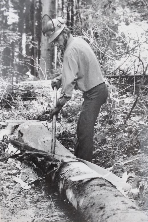 Foto Entrinden