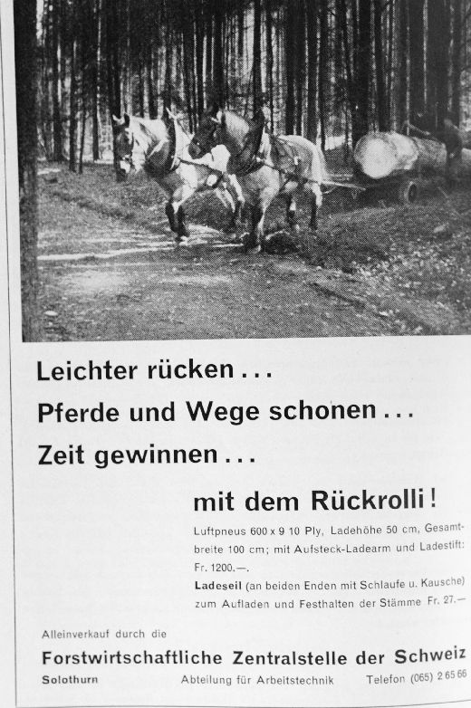 Foto Werbung für Rückerolli