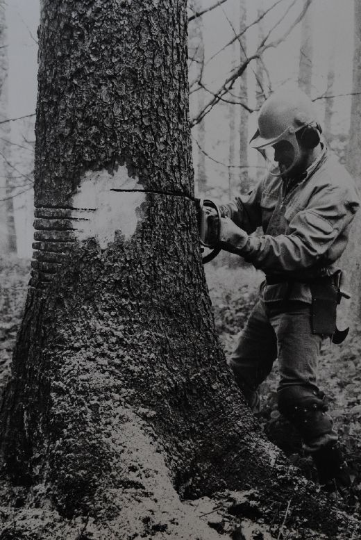 Foto Faulbaummethode