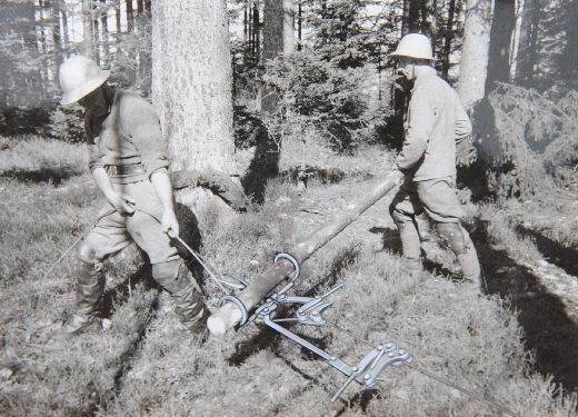 Foto Seilzug