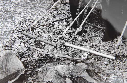 Foto Rückewaage für Pferdeeinsatz