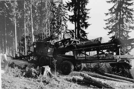 Foto Mobile Stammholzaufbereitung