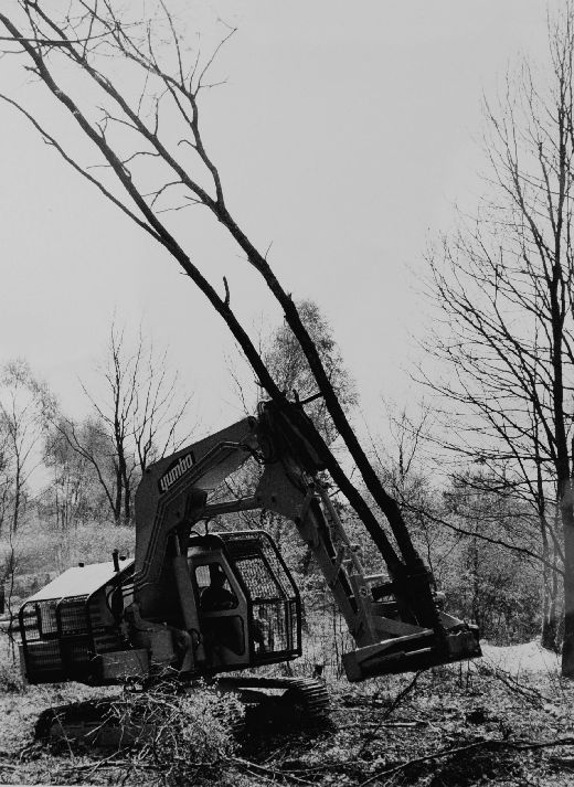 Foto Fällmaschine mit Kappschere