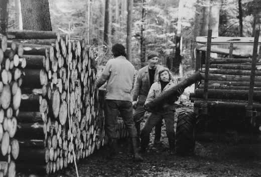 Foto Holzverlad