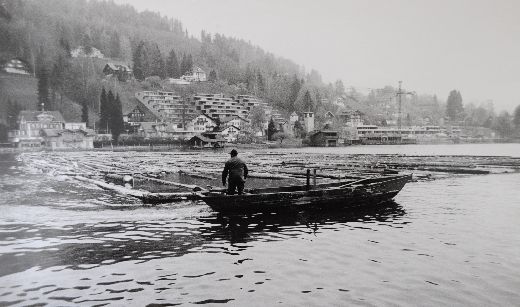 Foto Holzfloss
