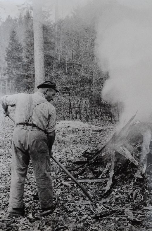 Foto Verbrennen von Rinde