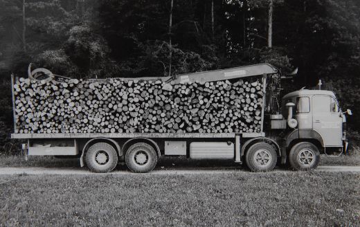 Foto LKW mit Schichtholz