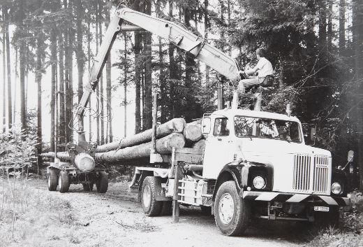Foto Langholztransport