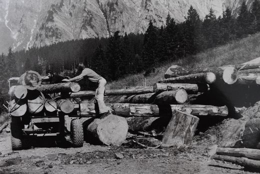 Foto Langholztransport