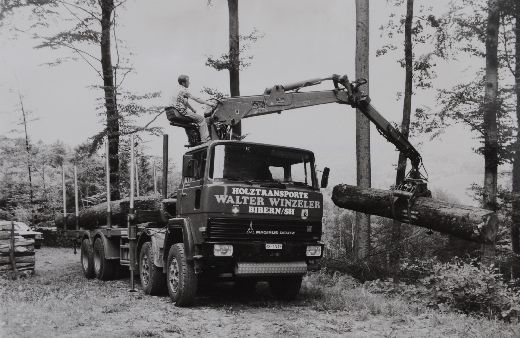 Foto Holztransport