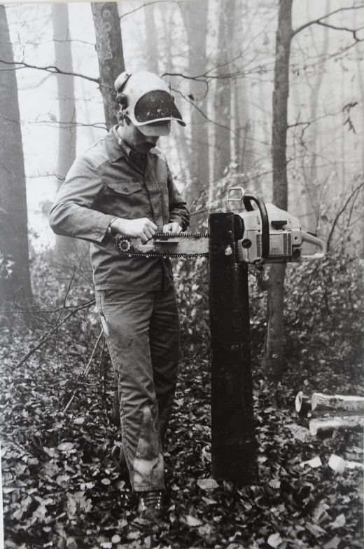 Foto Feilen der Säge im Wald