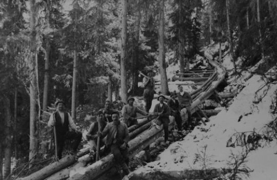 Foto Holzriese im Val Sampuoir