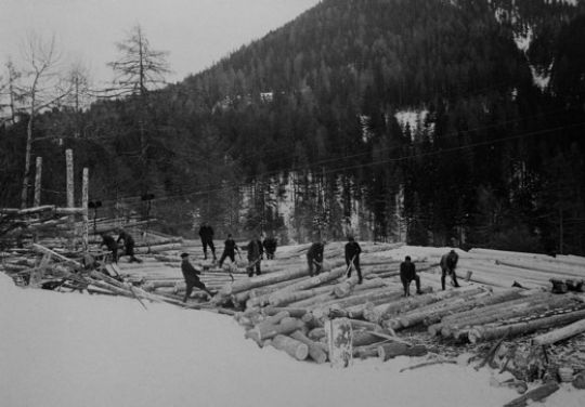 Foto Holzlagerplatz