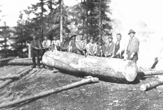Foto Auf dem Holzlagerplatz