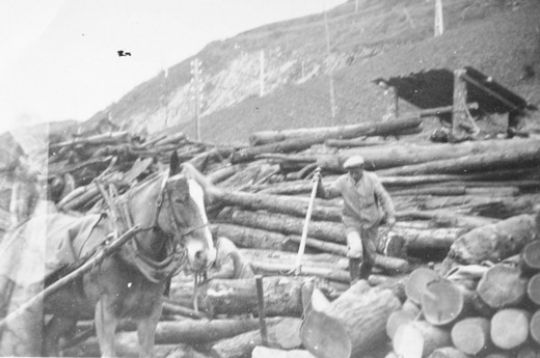 Foto Holzlagerplatz