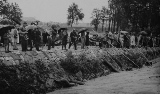 Foto Schwemmholz fischen am Rhein