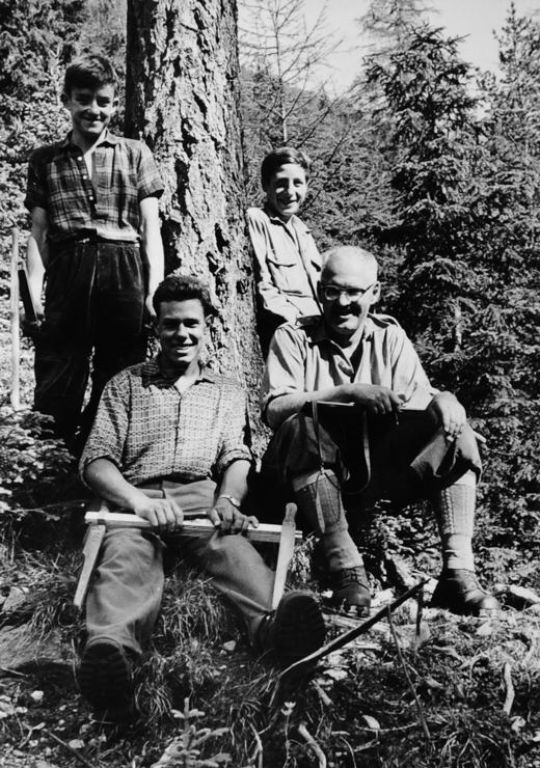 Foto Forstgruppe beim kluppieren