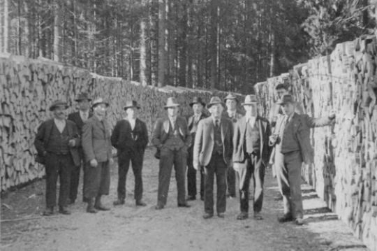 Foto Pflichtholzlager Krieg
