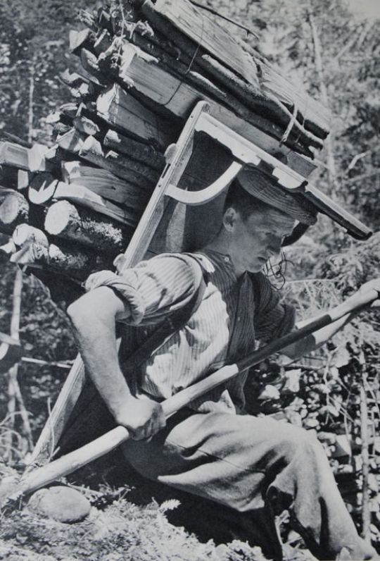 Foto Brennholztransport mit Räf