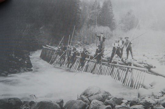 Foto Brennholzflösser