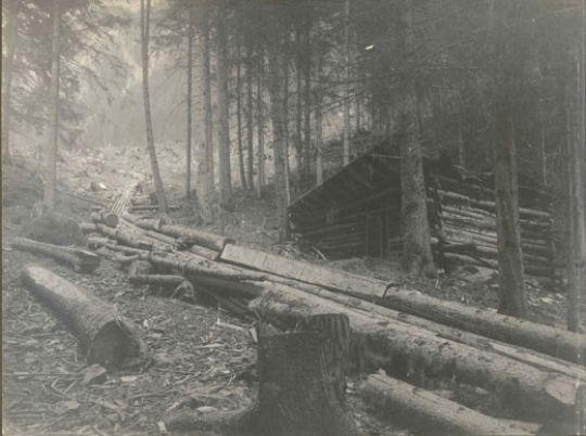 Foto Reistkanal neben Schutzhütte