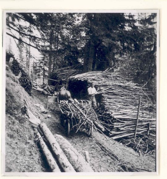 Foto Brennholzaufbereitung