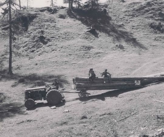 Foto Holzrücken mit Traktor