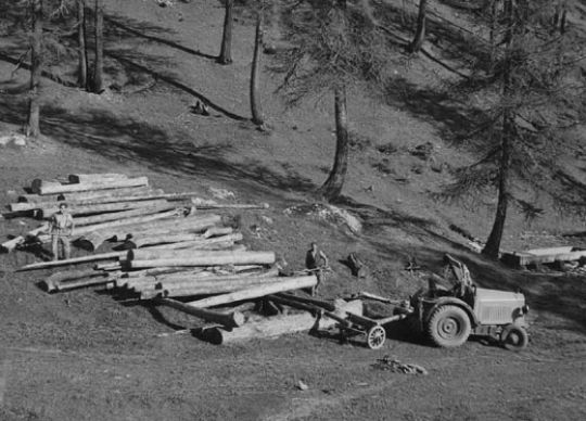 Foto Holzrücken mit Traktor