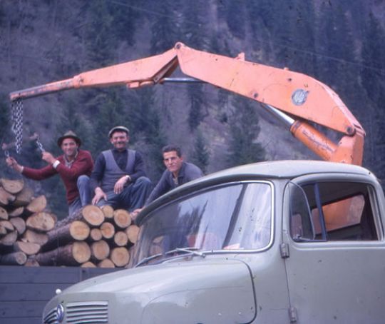 Foto Papierholz Verlad mit Kran