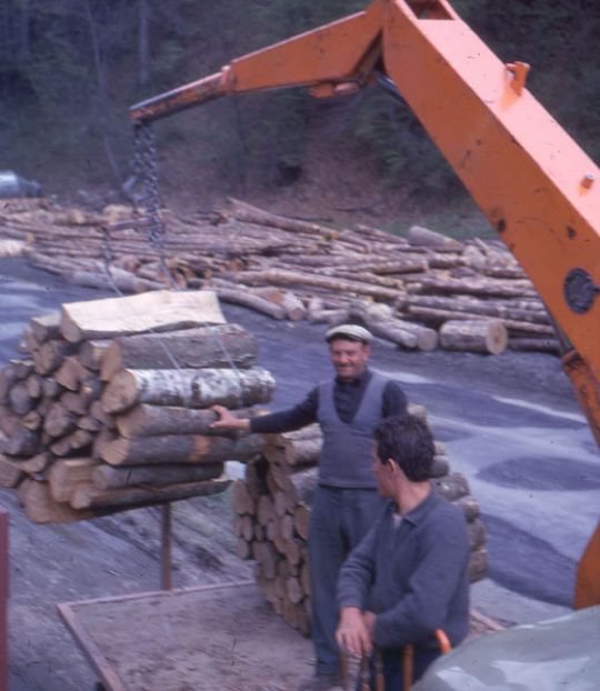 Foto Verlad von Papierholz mit Kran
