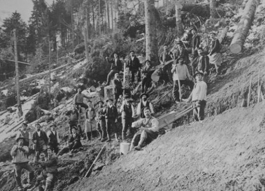 Foto Sturmholz bei Grabgs