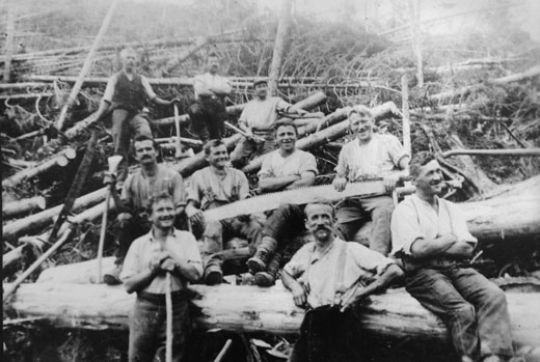 Foto Windwurf Holzen