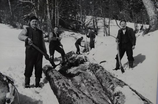 Foto Reisten