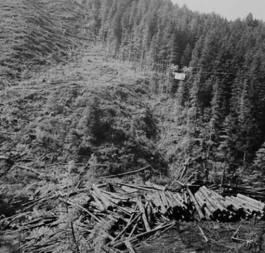 Foto Holztransportseilbahn in den USA