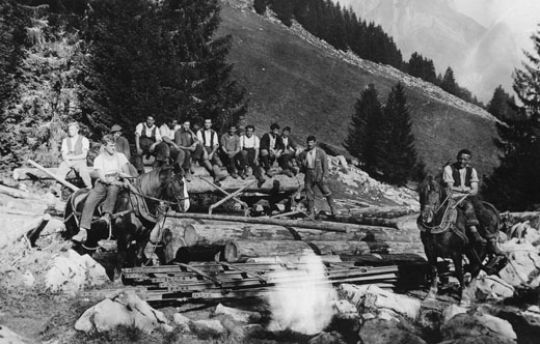 Foto Holzergruppe auf Stammholz