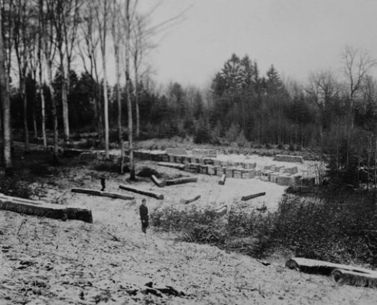 Foto Holzlagerplatz