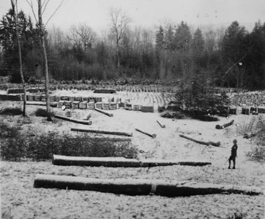 Foto Holzlagerplatz