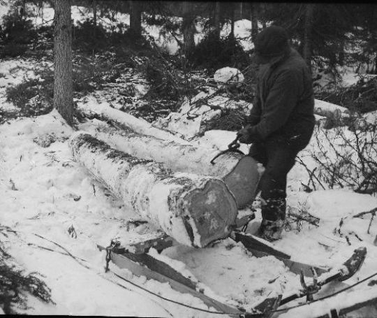 Foto Handzange fürs Holz