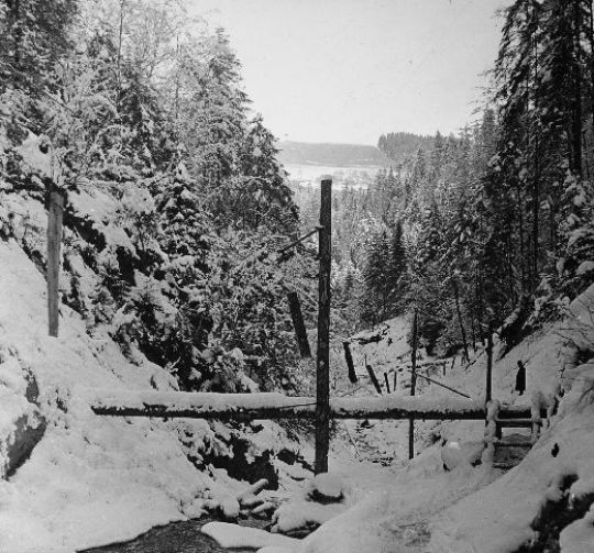 Foto Seilmasten im Tobel