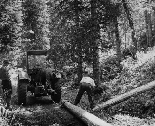 Foto Rücken mit Traktor und Seilwinde