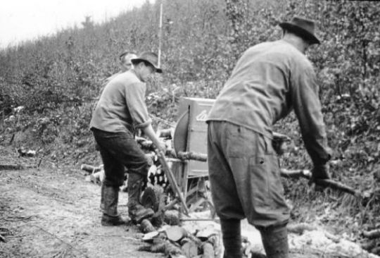 Foto Zerkleinern von Kleinholz