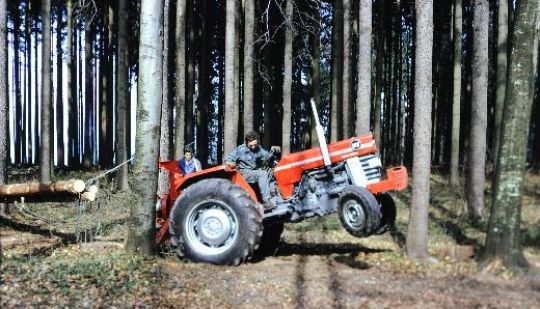 Foto Rücken mit Dreipunktseilwinde